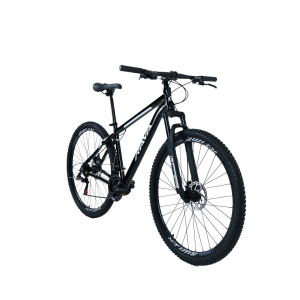 BIKE ARO 29 RAVA UP 21V